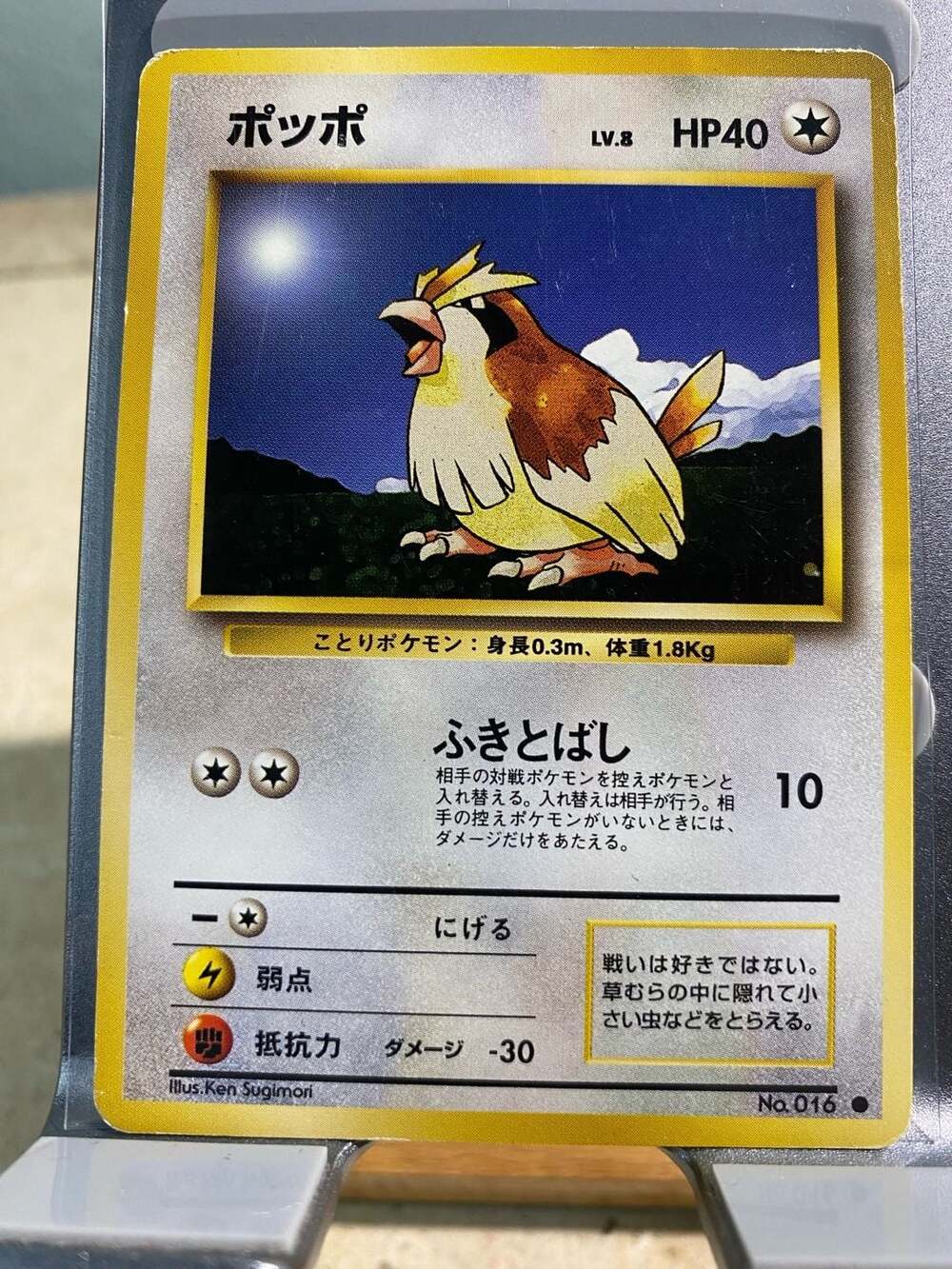 Pidgey Pokemon card #016 Lv.8 HP40 Nintendo Pokémon TCG Japanese Ver. F/S